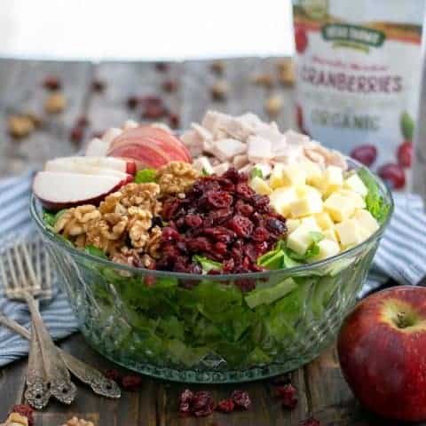 25 Best Fall Salads 12 Apple Cranberry Salad